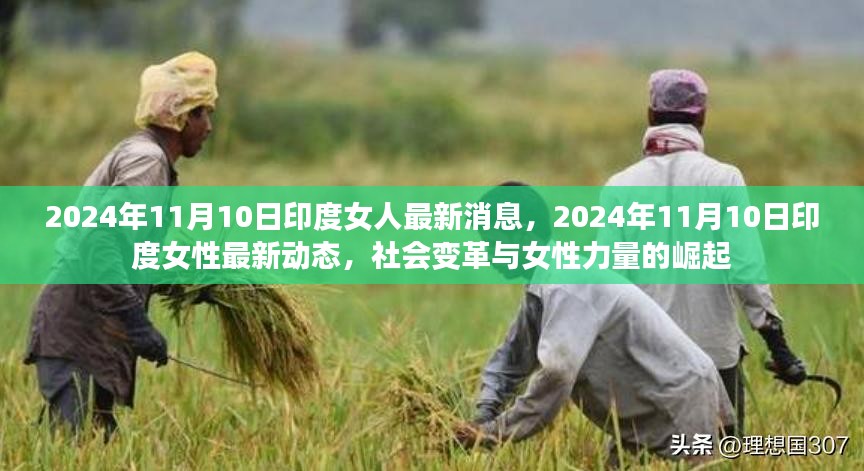 印度女性力量崛起与社会变革的最新动态（2024年11月10日）