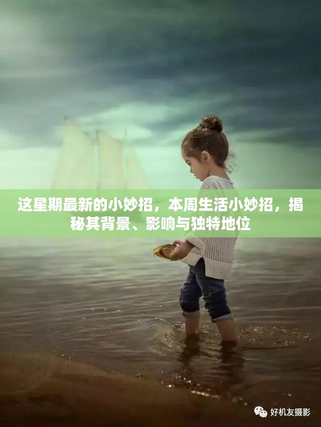 本周生活小妙招揭秘，背景、影响与独特地位探索