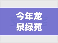 龙泉绿苑房价揭秘，隐秘小巷的特色小店与最新房价探秘