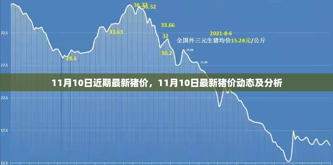 最新动态分析，11月10日猪价走势及市场动态