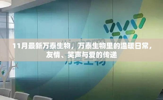 万泰生物里的温暖日常，友情、笑声与爱的传递时光纪事