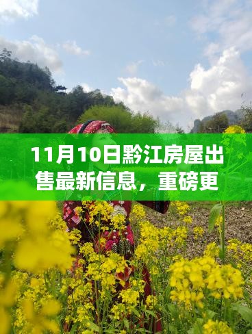 11月10日黔江房屋出售最新信息大解析，优质房源一览，理想家园任你选