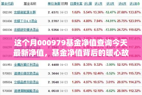 本月000979基金净值背后的暖心故事与小确幸时刻——最新净值查询今日发布