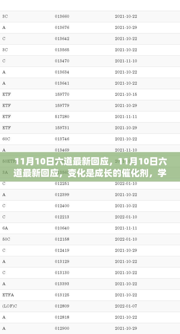 11月10日六道最新回应，变化与成长，学习与自信