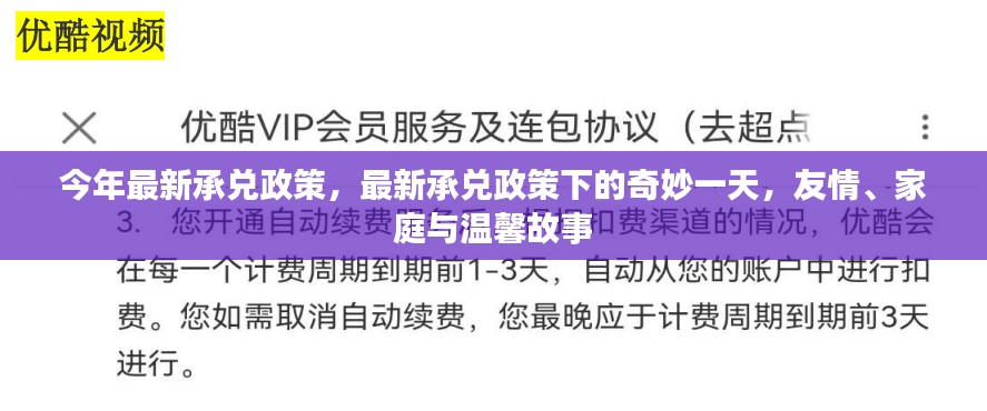 最新承兑政策下的温馨日常，友情、家庭与奇妙的一天