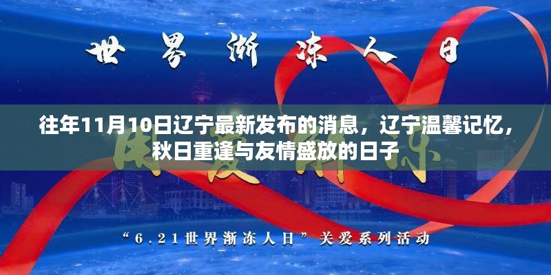 辽宁秋日重逢日，温馨记忆与友情盛放的日子