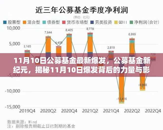 揭秘，公募基金新纪元背后的力量与影响，揭秘11月10日的爆发事件