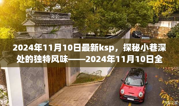 探秘小巷深处的独特风味，揭秘最新KSP特色小店之旅（2024年11月10日）