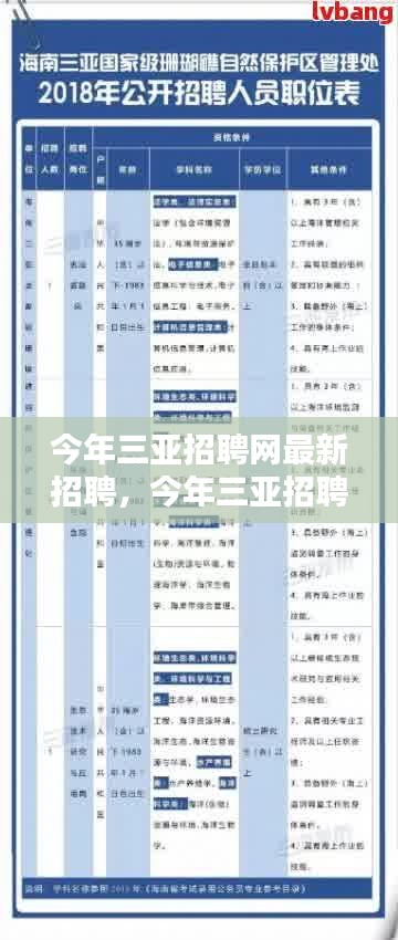 今年三亚招聘网最新招聘信息汇总，趋势解析与求职指南