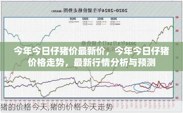 最新行情分析，今年今日仔猪价格走势及预测