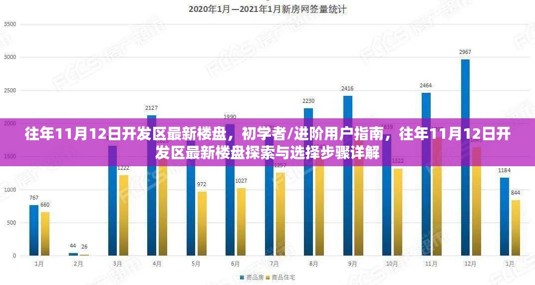 往年11月12日开发区最新楼盘详解，初学者与进阶用户指南及探索选择步骤