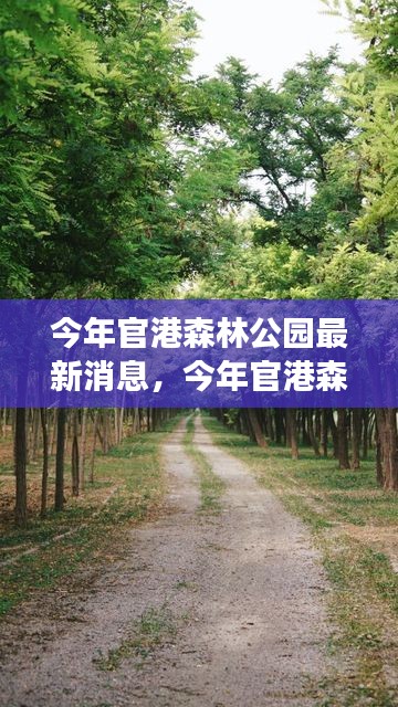 揭秘官港森林公园最新动态与发展前沿，惊喜亮点大放送！