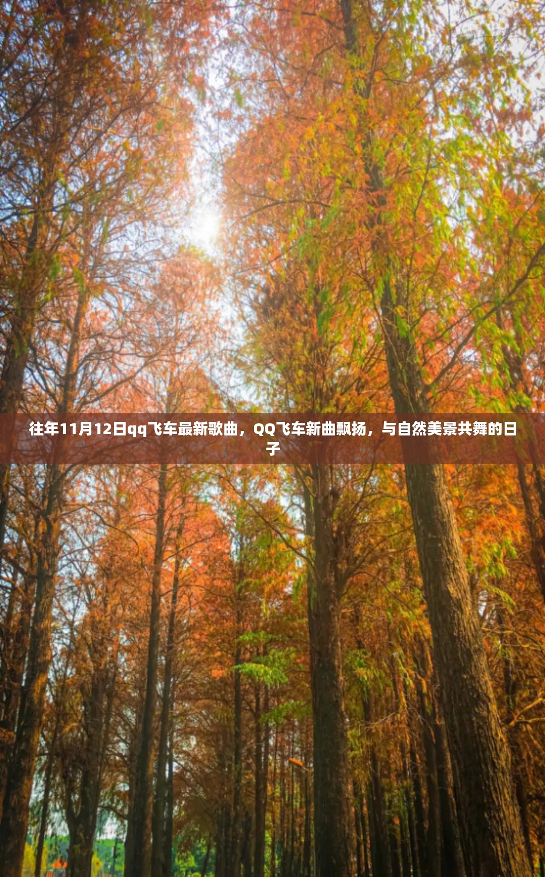 QQ飞车新曲与自然美景共舞的日子，历年11月12日最新歌曲回顾