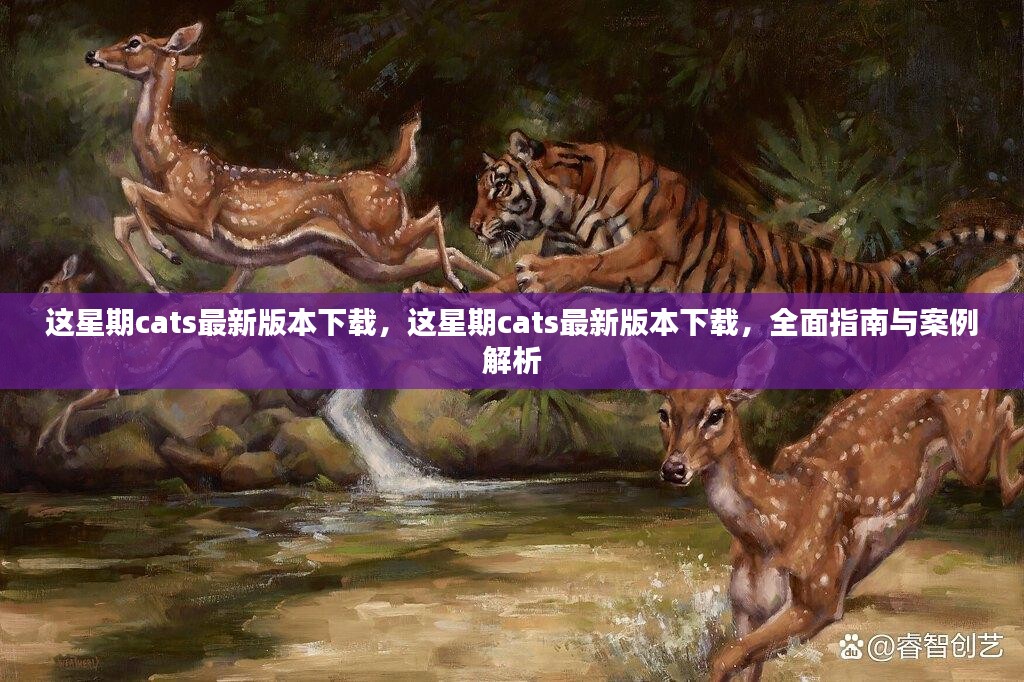 这星期Cats最新版本下载，全面指南与案例解析深度解读