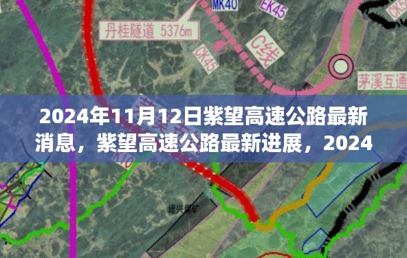 紫望高速公路最新进展报告，施工动态及参与指南（2024年11月）