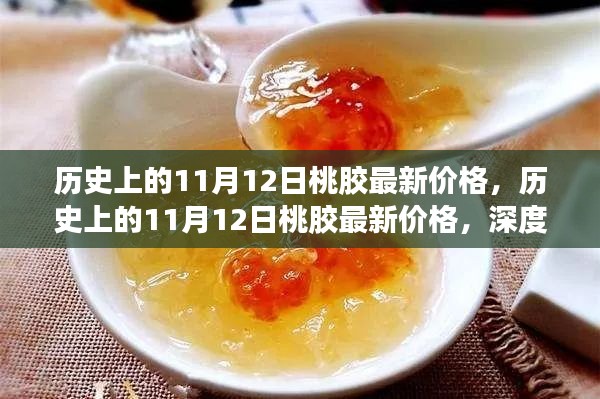 历史上的11月12日桃胶最新价格深度分析与观点阐述