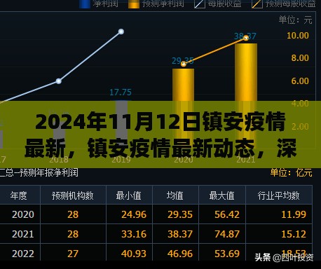 镇安疫情最新动态深度解析与全面评测（截至2024年11月12日）