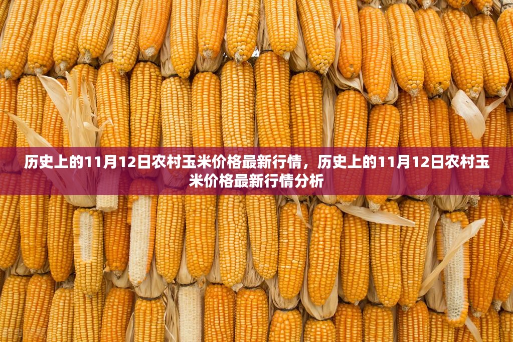 历史上的11月12日农村玉米价格最新行情深度解析