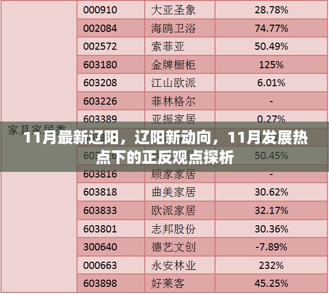 辽阳新动向揭秘，11月发展热点正反观点探析