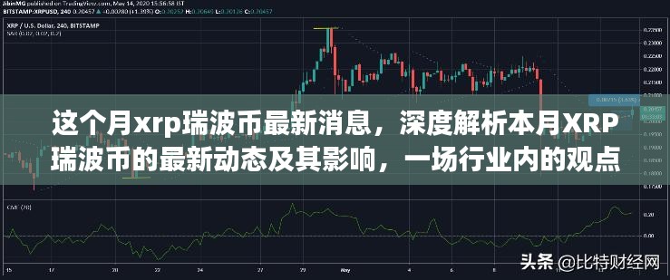 本月XRP瑞波币最新动态深度解析，行业观点碰撞与影响探讨