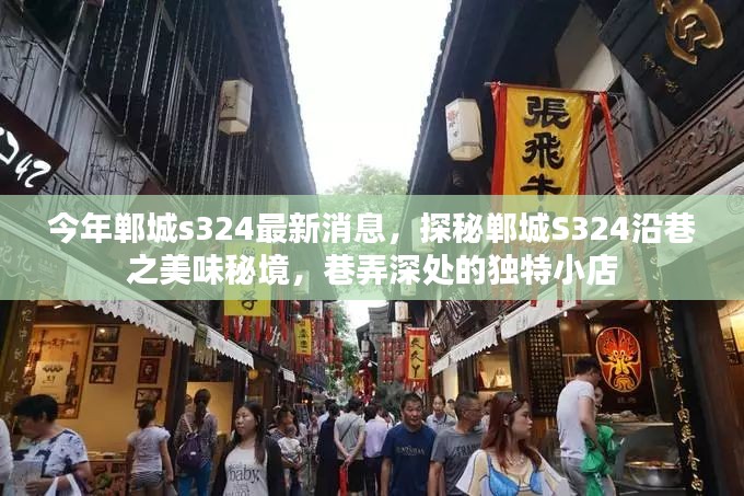 探秘郸城S324沿巷美味秘境，独特小店的最新消息与美食之旅