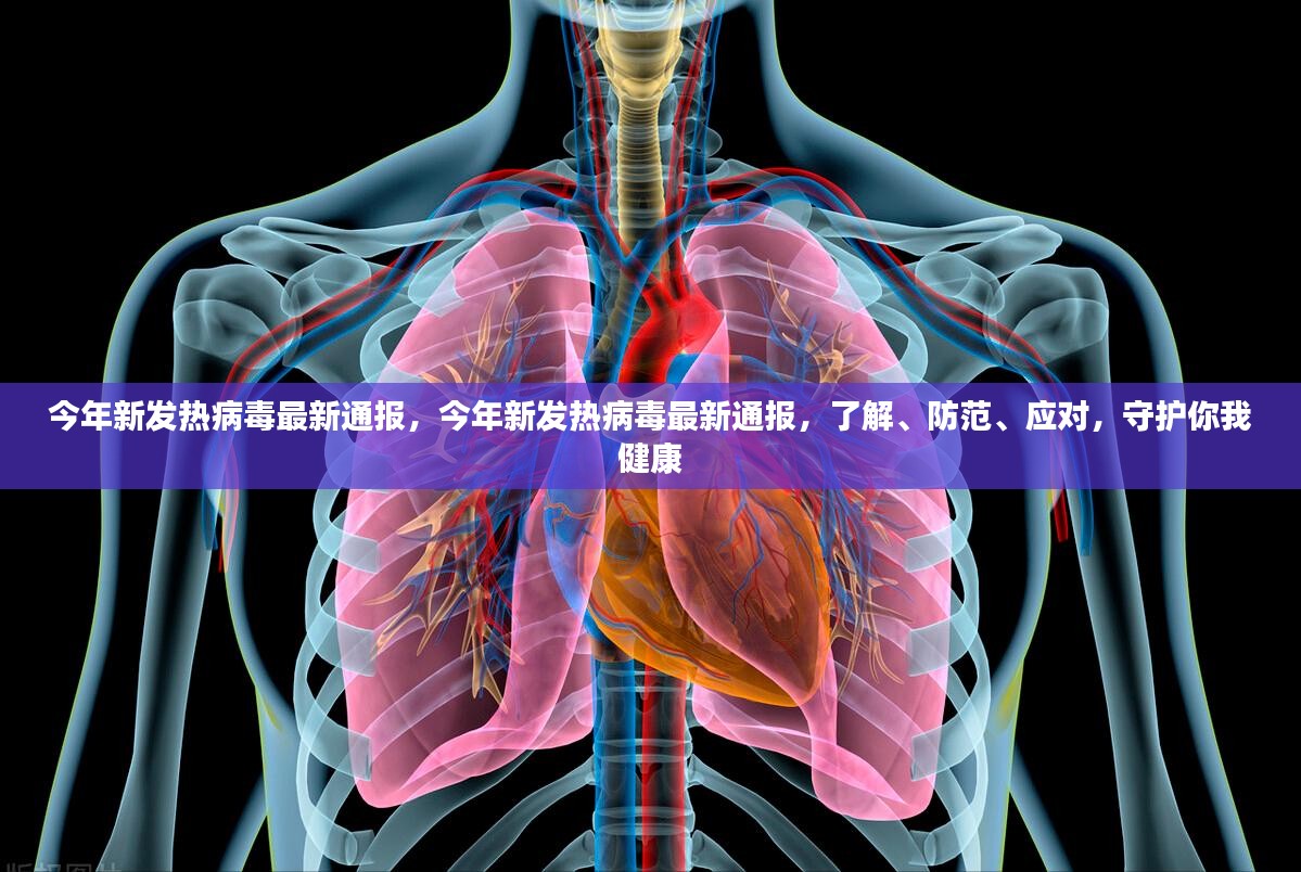 今年新发热病毒最新通报，了解、防范与应对策略，守护你我健康安全