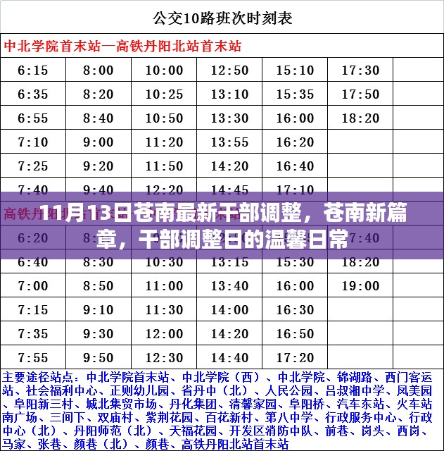 苍南干部调整新篇章，11月13日的温馨日常