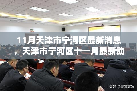 天津市宁河区11月最新动态概览，最新消息与动态概览