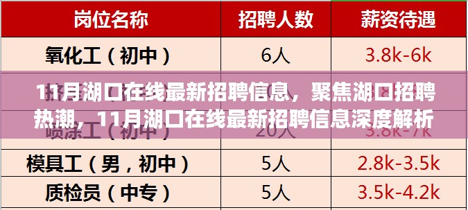 11月湖口在线最新招聘信息深度解析，聚焦湖口招聘市场动态