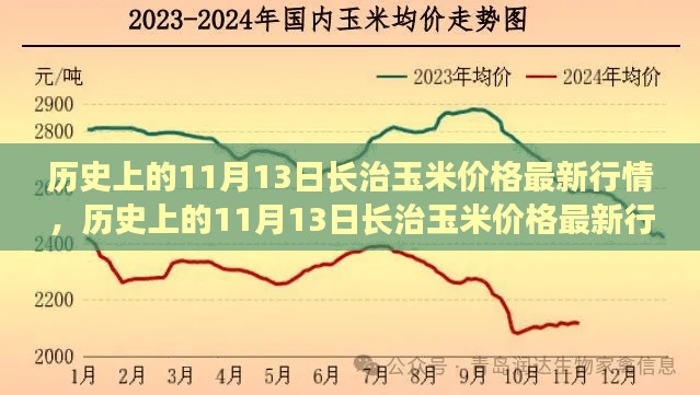 历史上的11月13日长治玉米价格深度解析及最新行情报告