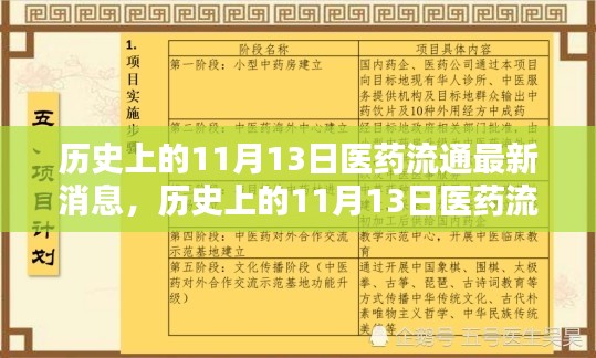 历史上的11月13日医药流通领域深度报道，最新动态与全面评测