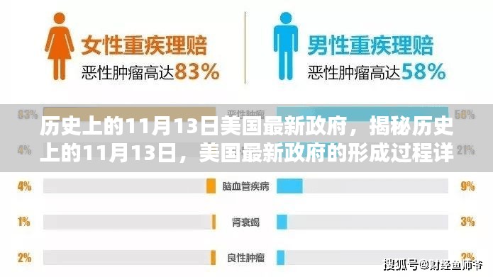 揭秘历史时刻，美国最新政府诞生记——11月13日的形成过程详解指南