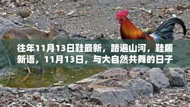 11月13日时尚鞋履盛宴，踏遍山河，共舞大自然的时尚新语