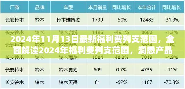 全面解读2024年福利费列支范围，产品特性与用户体验深度剖析