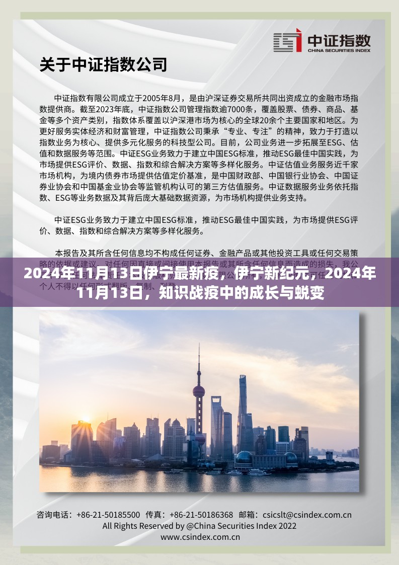 伊宁新纪元，知识战疫中的蜕变与成长（2024年11月13日最新疫情报道）