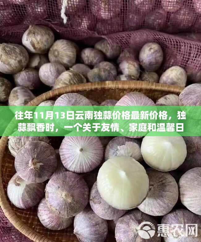 独蒜飘香时，云南独蒜价格揭秘与温情故事回顾