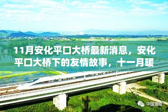 安化平口大桥下的友情故事与十一月暖阳下的奇遇最新消息