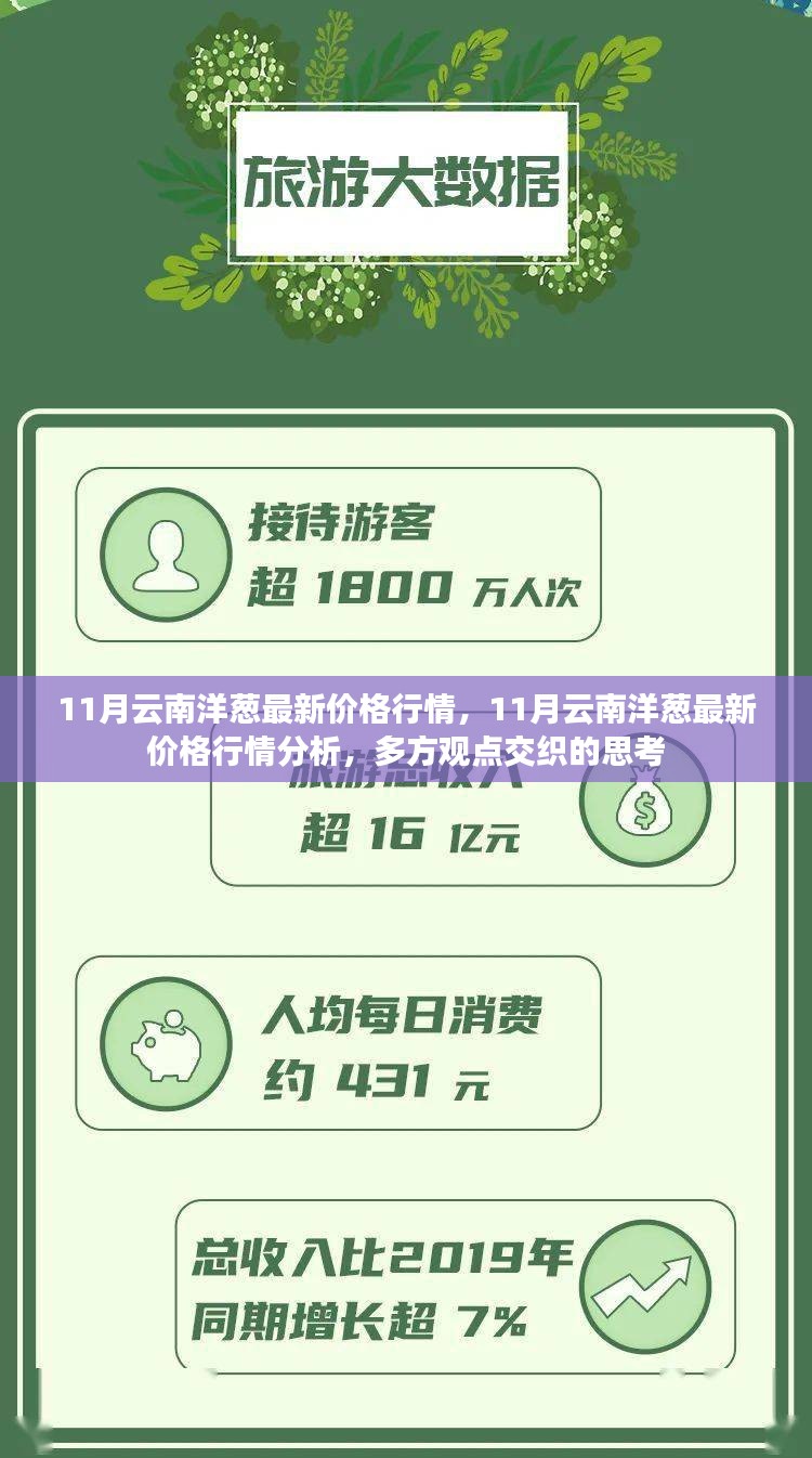 11月云南洋葱价格行情深度解析，多方观点交织的思考