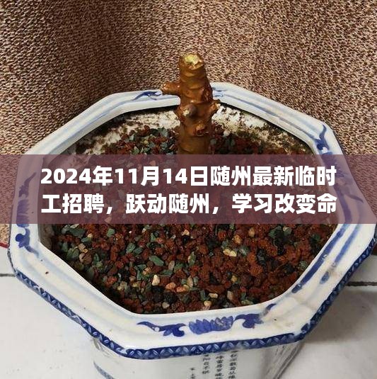 随州最新临时工招聘信息，跃动随州，学习改变命运，临时工作铸就自信之路