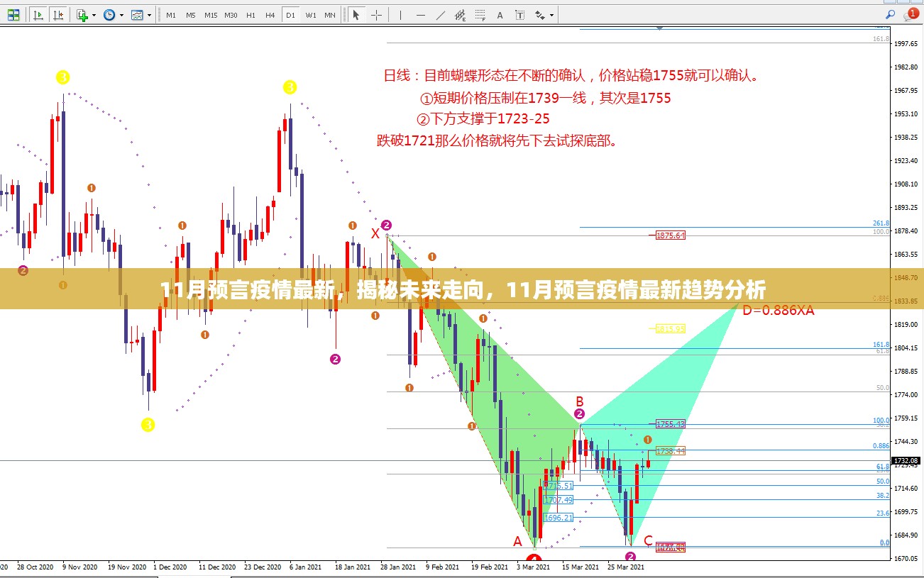 揭秘未来走向，11月疫情最新趋势分析预测