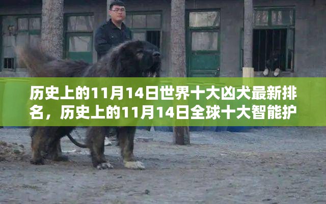 科技重塑忠诚与守护，全球智能护卫犬与十大凶犬的历史排名回顾（11月14日特辑）