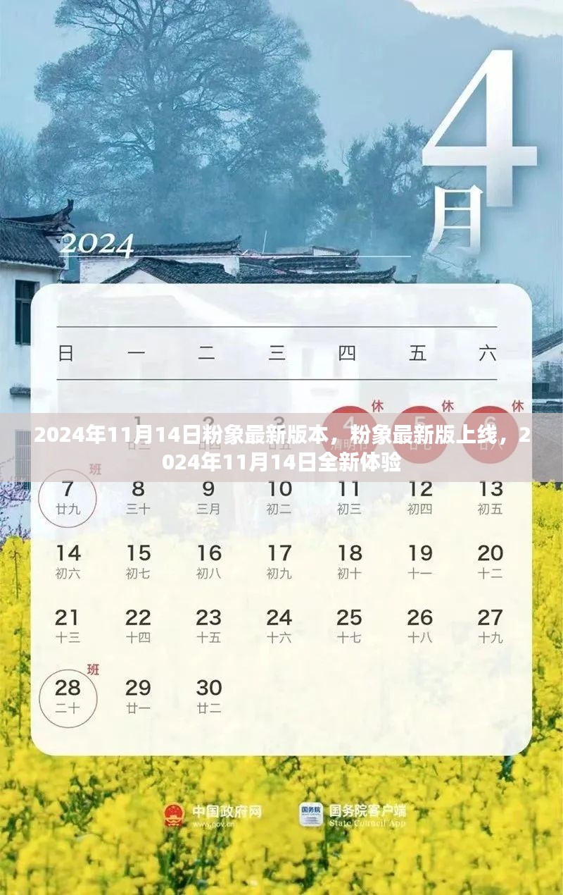 粉象最新版本上线，全新体验尽在2024年11月14日