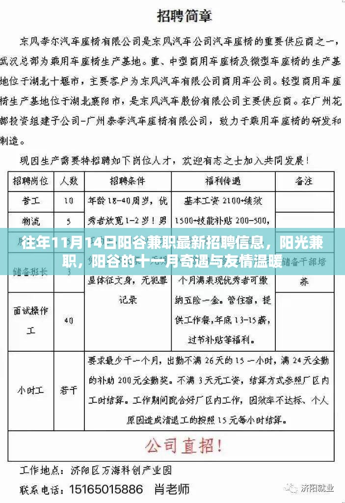 阳谷兼职最新招聘信息及十一月奇遇，阳光下的友情与温暖