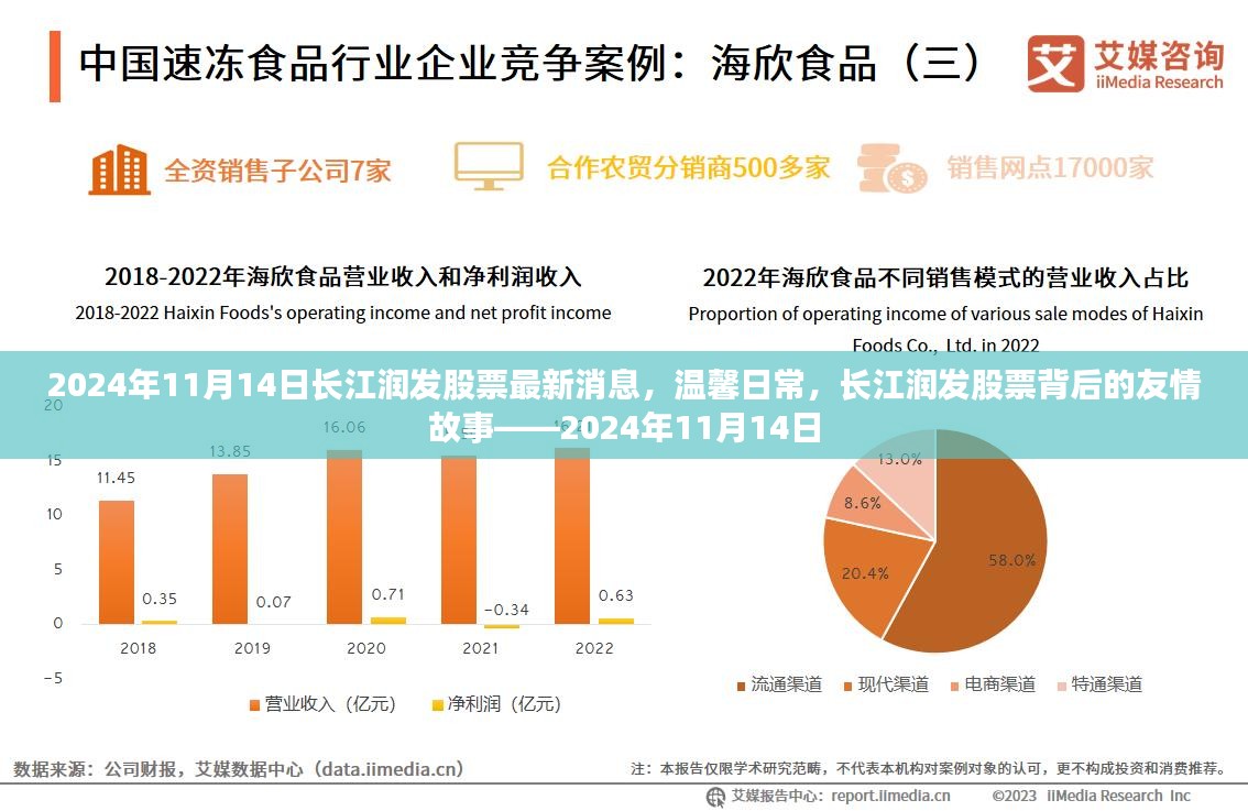 长江润发股票最新动态与友情故事，温馨日常，揭秘股票背后的故事（2024年11月14日）