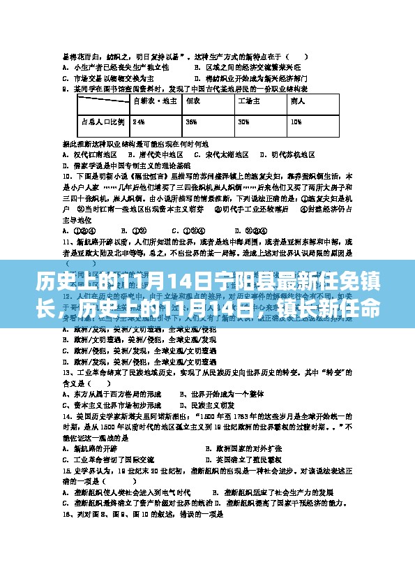 宁阳县镇长新任命的背后故事与小巷特色小店探秘，历史上的11月14日揭秘