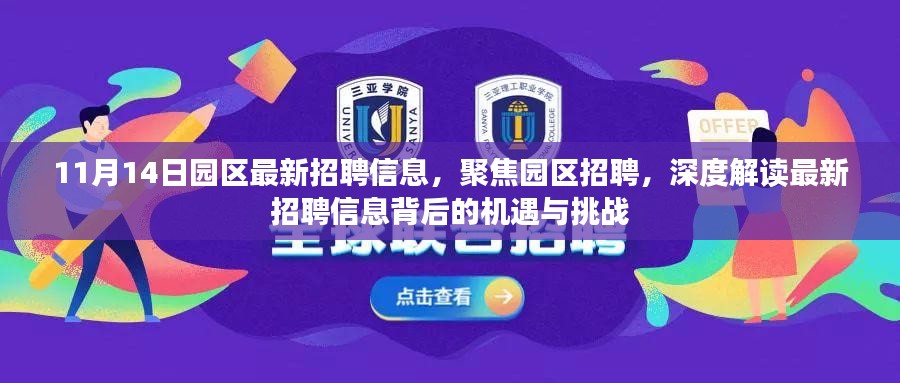 园区最新招聘信息解析，机遇与挑战一览（11月14日）