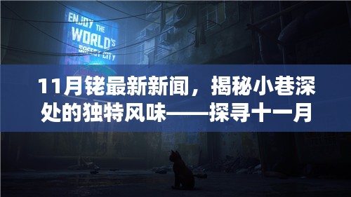 探寻十一月铑新闻中的隐藏小巷美食，独特风味悉数呈现