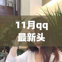 2017年11月QQ最新女生头像评测与介绍，时尚风潮的深度探索