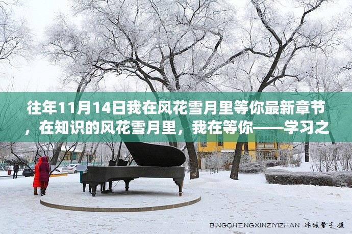 知识风花雪月，我在等你——学习之旅最新章节