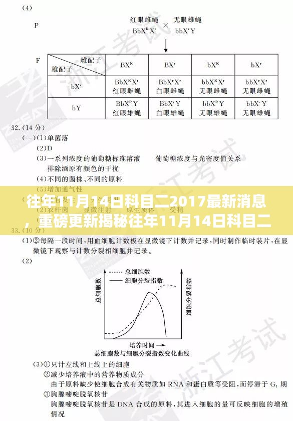 揭秘往年11月14日科目二考试最新动态与趋势解析